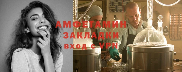 крисы Каменка