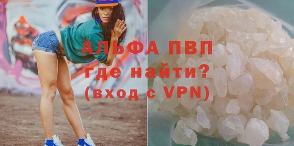 крисы Каменка