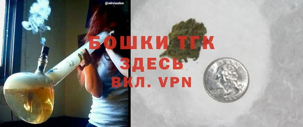 крисы Каменка