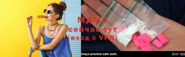 крисы Каменка