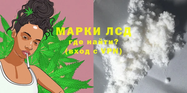крисы Каменка