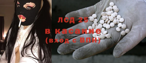 крисы Каменка